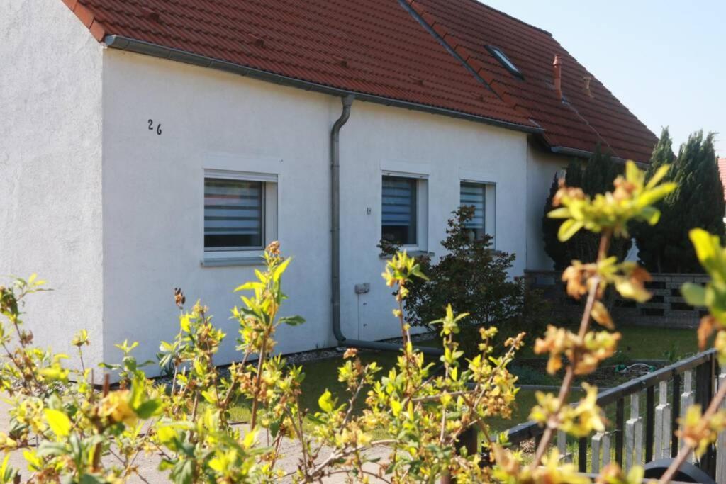 Haus Anke Βίλα Βραδεμβούργο Εξωτερικό φωτογραφία
